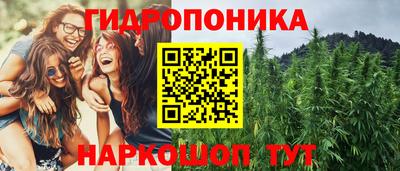скорость Гусь-Хрустальный