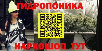 скорость Гусь-Хрустальный