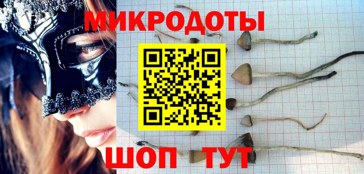 Галлюциногенные грибы Cubensis  Псилоцибиновые грибы Psilocybe  Муравленко  Вход с VPN 