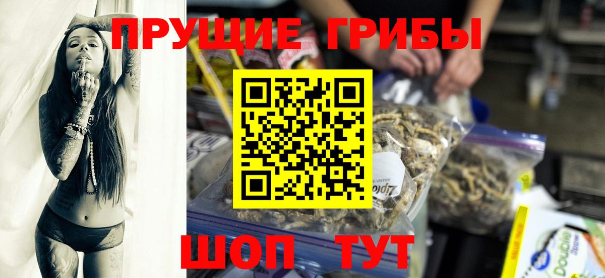 Псилоцибиновые грибы мицелий Муравленко